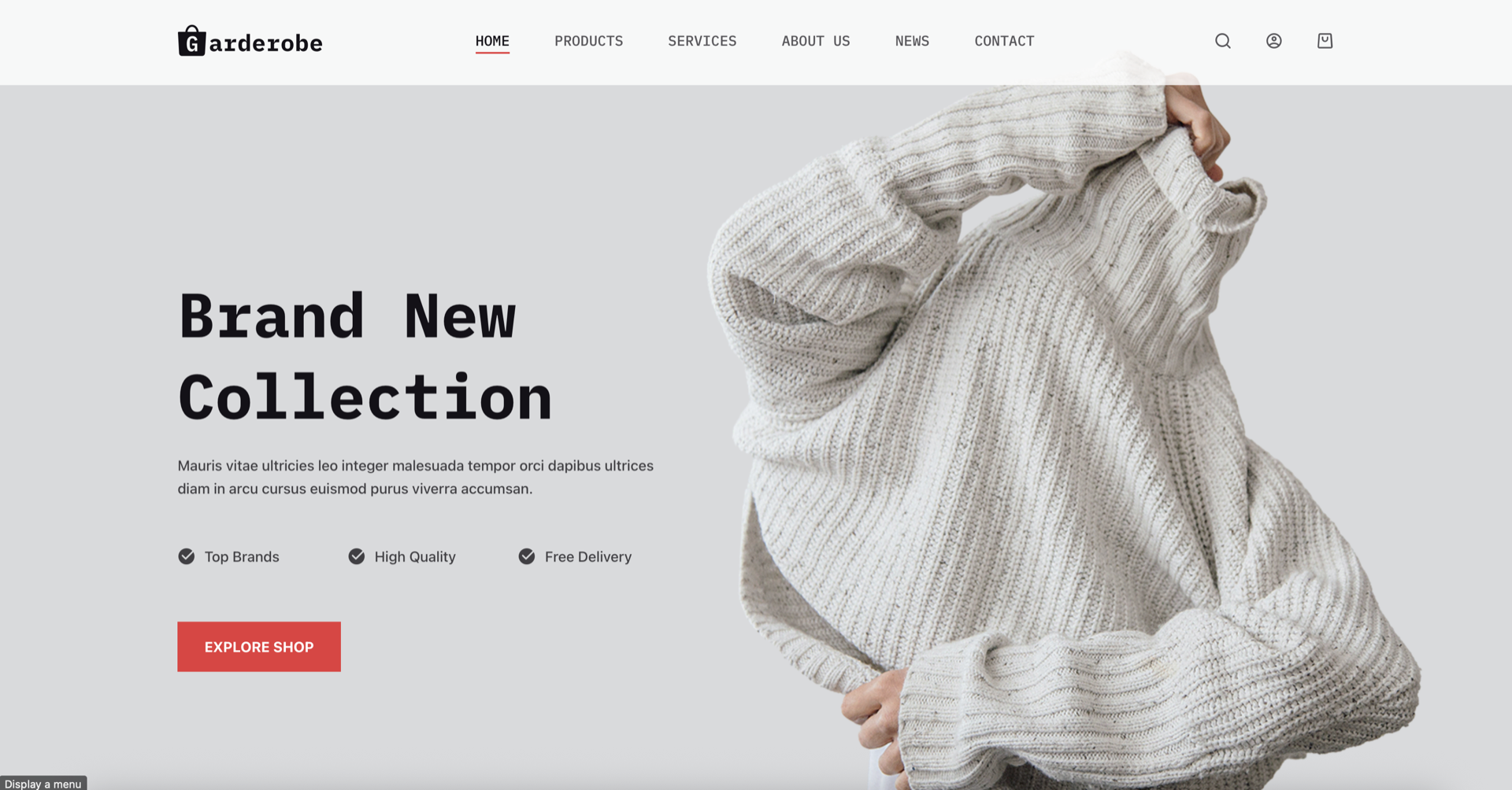 Clothing boutique website demo template