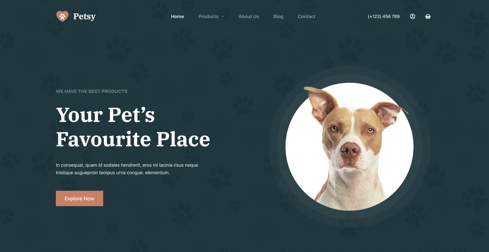 Pet care website demo template