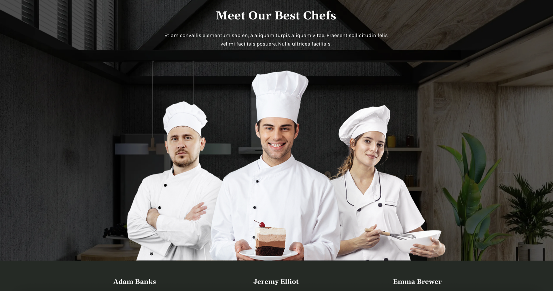 Restaurant website demo template